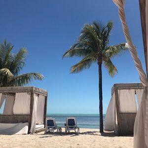 Meet your Posher Clovertrends